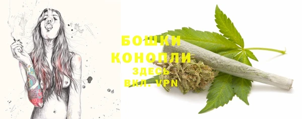 стафф Заволжье