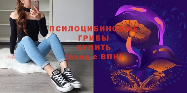 молекула духа Заводоуковск